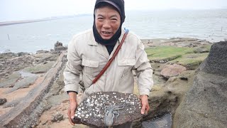 泰叔带着长钩赶海，伸进洞里就知道有货，水坑里猛货相斗腿都打断