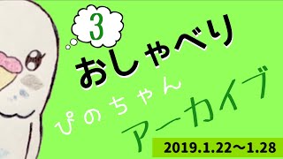 「いっぱいしゃべるよ∧( 'Θ' )∧」おしゃべり大好きセキセイインコのぴのちゃん おしゃべりと成長の記録 アーカイブ その３