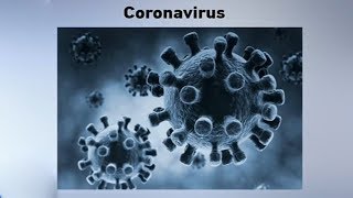 A look at China's efforts to contain the latest coronavirus