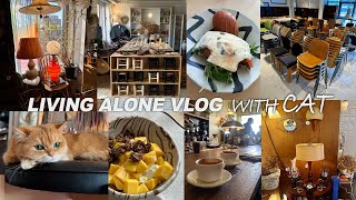 vlog_이사 준비하는 일상_ 연희동 소품샵 투어_빈티지 토넷 체어와 빈티지 조명 구매_1일1샌디치와 맛도리 일상