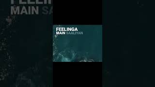 Kida lakoke rakhha feelinga main saaliyan| Feelinga Song Lyrics Video Status| Garry Sandhu #shorts