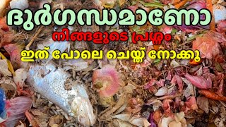 BSF larvae ദുർഗന്ധമാണോ പ്രശ്നം ഇത്പോലെ ചെയ്ത് നോക്കൂ...