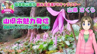 岐阜県山県市 山県さくら「山県市魅力発信～鳥羽川サイクリングロード（前編）」岐阜県山県市情報発信局【サクラドロップ】