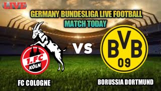 FC Cologne Vs Borussia Dortmund Live Football Today Germany