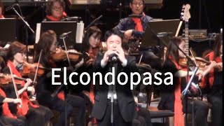 [로얄팝스오케스트라] #Elcondopasa - 오카리나- 함민수 #로얄팝스오케스트라 #팝오케스트라 #대구드럼