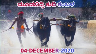 Team Kolachuru Kondottu, Kulooru Poyyelu, Hosabettu Yerimaru Kudhi Kambala | Namma Kambala