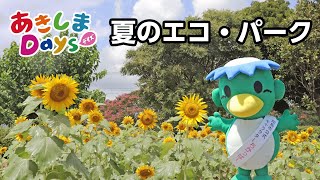 あきしまDays Vol.86 夏のエコ・パーク