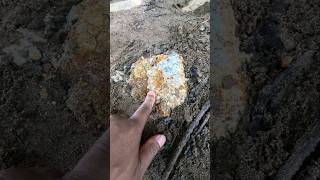 So Crazy..,😱😱,‼️Finding pure gold in rare stones. #golddiscovery #goldprospecting