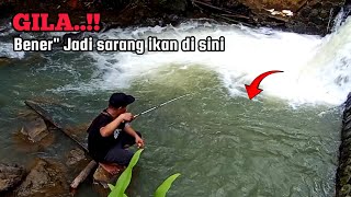 PANEN..!! MANCING NILEM DI SUNGAI AIR JERNIH || MANCING DI MUSIM HUJAN