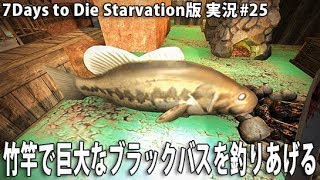 竹竿で巨大なブラックバスを釣りあげる【 7Days to Die Starvation版 実況 #25 】