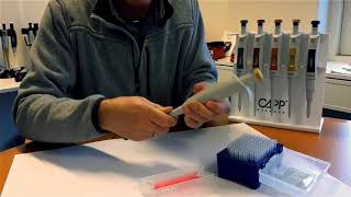 Capp - LabTeamet - CappBravo 2 Minutes Service Check