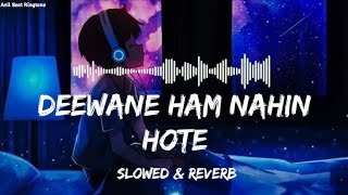 Deewane Hum Nahi Hote (Slow and Reverb) | Lofi | Hindi - (Slow and Reverb) songs | Lyrical Audio