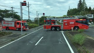 いざ出動‼︎【消防車】緊急走行‼︎