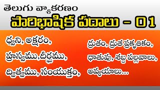 Telugu vyakaranham(వ్యాకరణం) class పారిభాషిక పదాలు 01 #youtubebadi