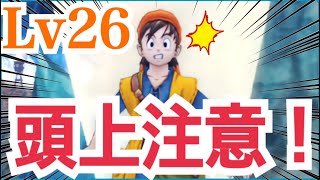 拳Lv26【ドラクエ8実況】消えた薬師を探せ！薬草園 攻略編！