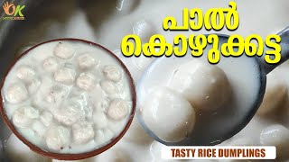 പാൽ കൊഴുക്കട്ട | Tasty Rice dumplings | Paal Kozhukatta Recipe In Malayalam | Odath Kitchen