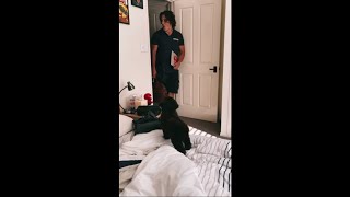 Guy Film His Brother Seeing New Puppy for the First Time