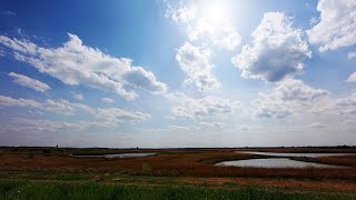 渡良瀬遊水地第二調節池　栃木県小山市【タイムラプス撮影】