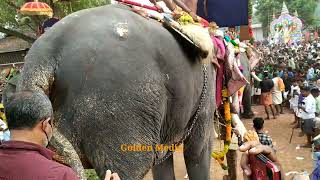 Puthuppally kesavan mass entry | പുതുപ്പള്ളി കേശവൻ | top elephant in kerala