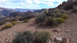 Grand Canyon Skeleton Point