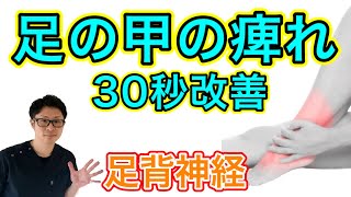 【痺れ改善】足の甲の痺れには「足背神経」をほぐすべし！【埼玉県蕨市 整体院羽翼 TSUBASA 】