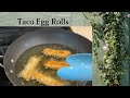 Taco Egg Rolls