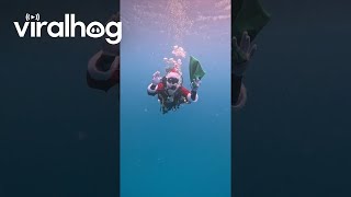 Santa Goes Diving || ViralHog