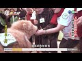 助身心障打開心房 犬貓治療立大功 單元4｜真相急先鋒 ep85｜2020.11.22