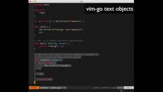vim-go: text function selection objects