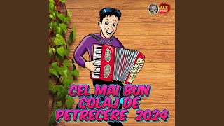 Colaj Hore Sarbe live,,Hore,sarbe ,colaje,muzica populara 2024