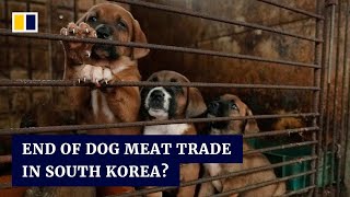 South Korean dog meat farmers push back against consumption ban
