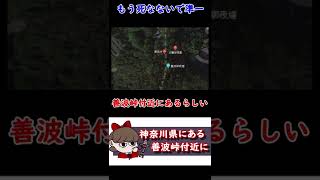 旧善波トンネルにあった謎の看板「もう死なないで準一」【都市伝説】