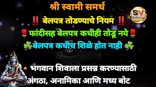 बेलपत्र तोडण्याचे नियम / बेलपत्र कोणत्या दिवशी तोडू नये / जाणून घ्या छोटे पण महत्वाचे नियम