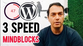3 reasons preventing WordPress speed optimization