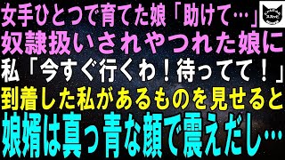 【スカッとする話】女手ひとつで育てた大事な娘が娘婿とその親から奴隷扱いされていた。娘「もう無理…」私「待ってて、今すぐ迎えに行くから！」到着した私があるものを見せると、娘婿は震えだし…【修羅場】