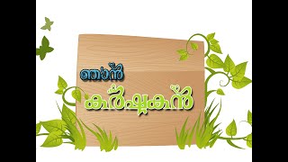 പച്ചപ്പിന്റെ  പട്ടുവിരിച്ച പ്രകൃതിയെ തൊട്ടറിയാൻ