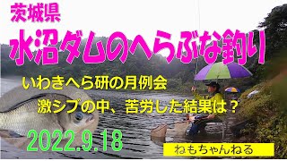 水沼ダムのへらぶな釣り（2022年9月）