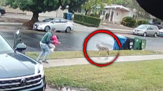 Dad Saves His Daughter From Coyote Attack