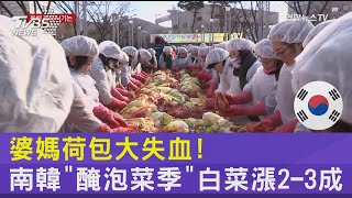 婆媽荷包大失血! 南韓「醃泡菜季」白菜漲2-3成｜TVBS新聞