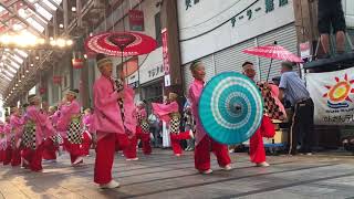 大橋通り踊り子隊 第64回よさこい祭り