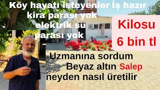 KÖYDE YAŞAMAK İSTEYENLER KİRA,ELEKTRİK,SU BEDAVA +İŞ İMKANI VE MAAŞ…