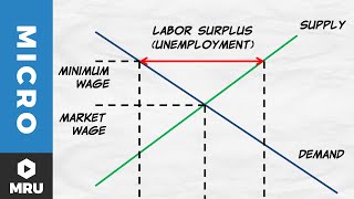 Price Floors: The Minimum Wage