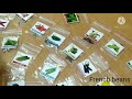 unboxing amazon 45 variety of vegetables seeds amazon seeds for my new terrace gardening low cost