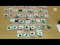 unboxing amazon 45 variety of vegetables seeds amazon seeds for my new terrace gardening low cost