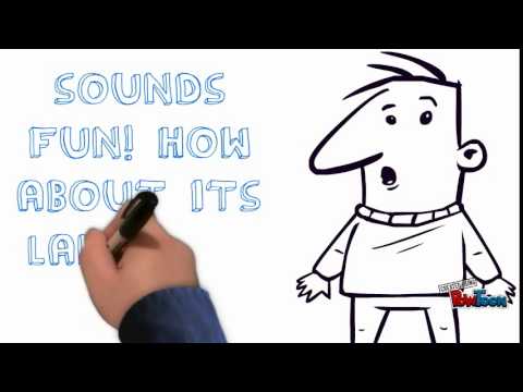 What is factual recount example?