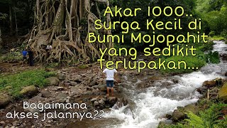 Akar 1000 mojokerto 2020 || Bagaimana Akses jalannya? #mojokerto