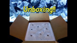 Unboxing! I've Never Seen These In Person Before