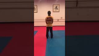 White Belt Poomse (back view)