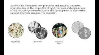 An Introduction to Microscopy