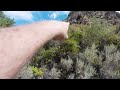 hidden desert spring creates massive water flow in middle of nowhere